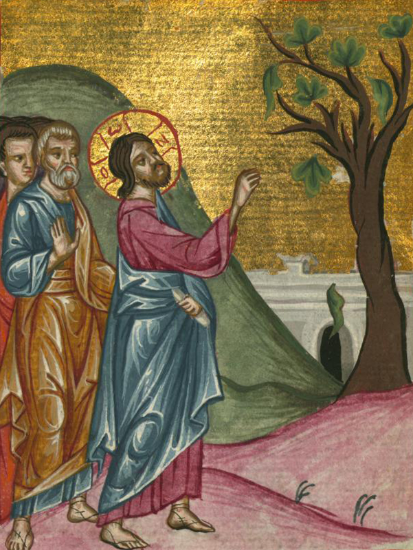 A 17th-century illuminated manuscript illustration shows Jesus cursing the barren fig tree. Jesus, with a gold halo bearing Greek letters, gestures toward a sparse fig tree as two disciples watch from behind. The scene is set against a hilly landscape and a gold-leaf background, emphasizing the sacred moment. The stylized figures and vibrant colors reflect traditional Byzantine artistic influence.
